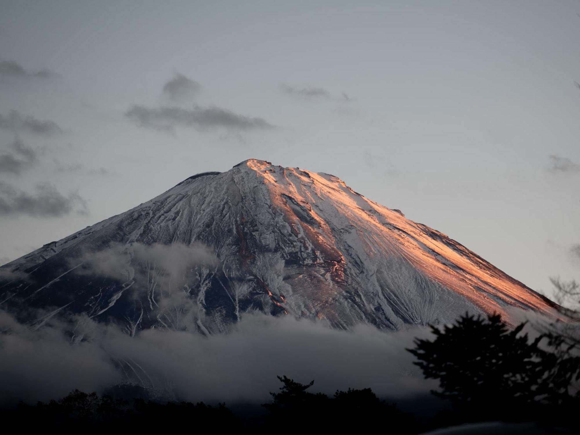 Fuji Hoshizorano Mura Tabist 나루사와 외부 사진